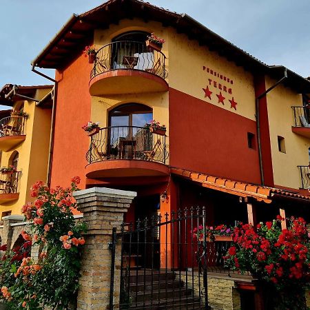 Pension Terra Alba Iulia Dış mekan fotoğraf